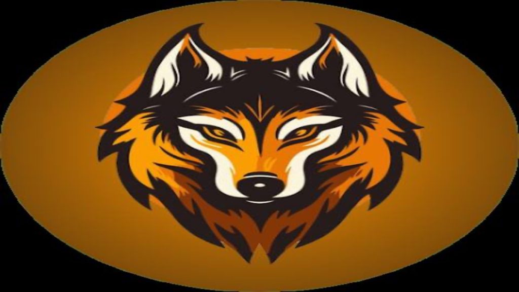 دانلود فیلترشکن پرسرعت قوی جدید Wolf VPN