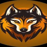 دانلود فیلترشکن پرسرعت قوی جدید Wolf VPN