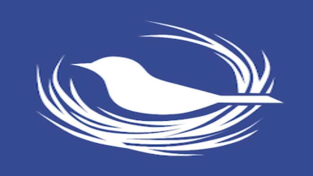 دانلود وی پی ان ایران رایگان Nest VPN
