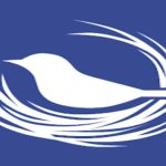 دانلود وی پی ان ایران رایگان Nest VPN