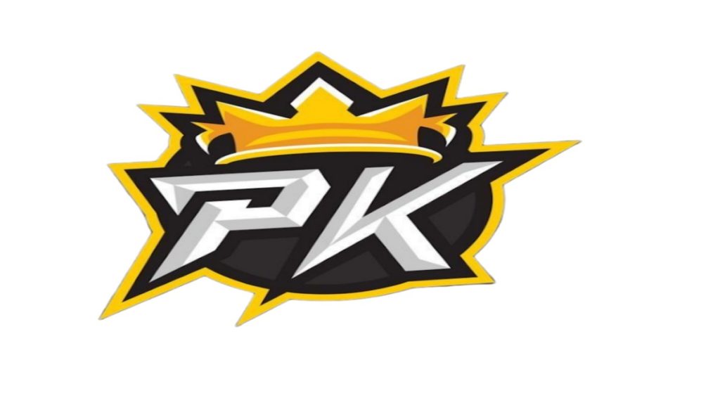 دریافت فیلتر شکن پرسرعت رایگان پی کی برند PK BRAND VPN